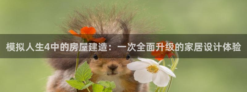 先锋娱乐邀请码多少位啊