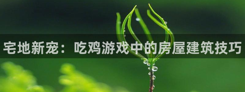 先锋娱乐账号注册不了：宅地新宠：吃鸡游戏中的房屋建筑技巧