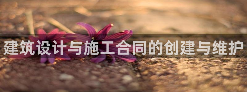 娱乐急先锋李诞甄子丹：建筑设计与施工合同的创建与维护