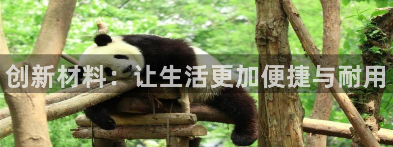 先锋电子旗下先锋娱乐