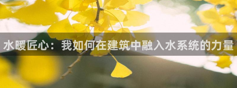 先锋娱乐中国：水暖匠心：我如何在建筑中融入水系统的力量
