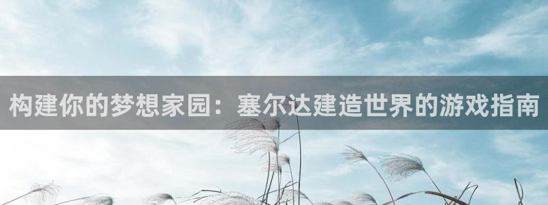 先锋娱乐电子游戏