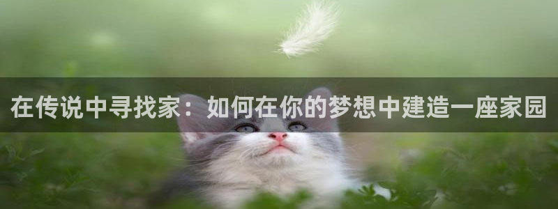 先锋娱乐集团