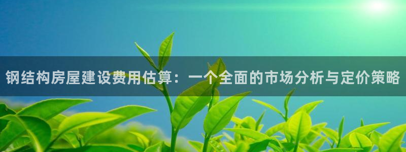 先锋电子车载娱乐系统