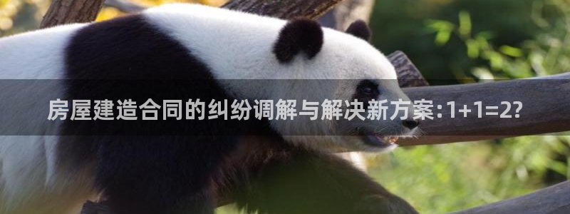 先锋娱乐平台：房屋建造合同的纠纷调解与解决新方案:1+1=2?
