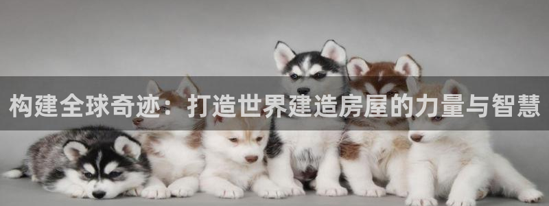 先锋娱乐麻将：构建全球奇迹：打造世界建造房屋的力量与智慧