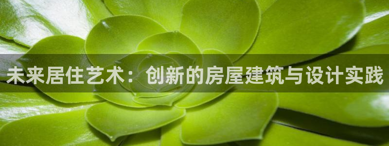 先锋电玩娱乐：未来居住艺术：创新的房屋建筑与设计实践