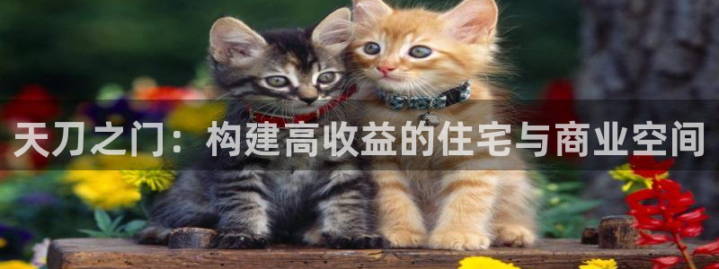 先锋娱乐集团公司：天刀之门：构建高收益的住宅与商业空间