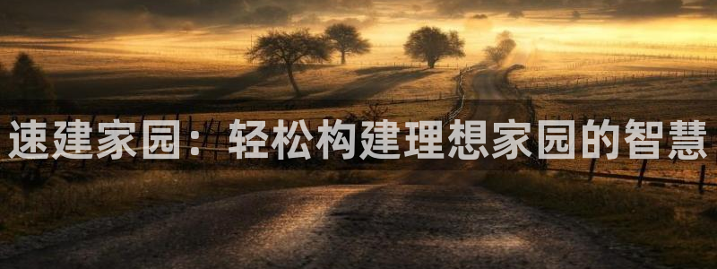 先锋 娱乐：速建家园：轻松构建理想家园的智慧