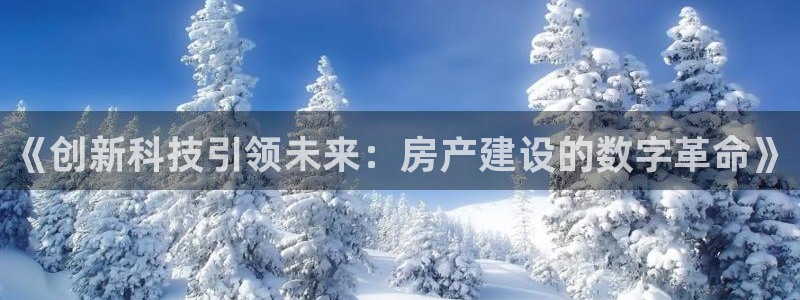 先锋娱乐登录：《创新科技引领未来：房产建设的数字革命》