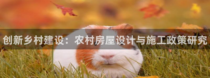 先锋娱乐资讯：创新乡村建设：农村房屋设计与施工政策研究