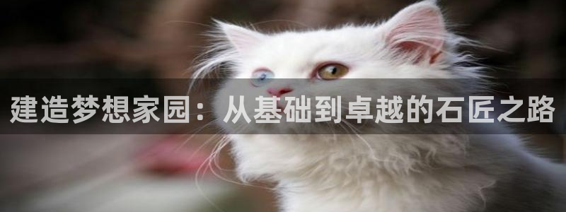 先锋娱乐快讯：建造梦想家园：从基础到卓越的石匠之路