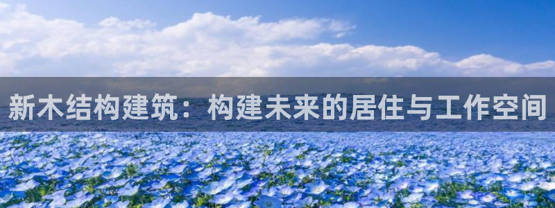 先锋娱乐游戏上分：新木结构建筑：构建未来的居住与工作空间