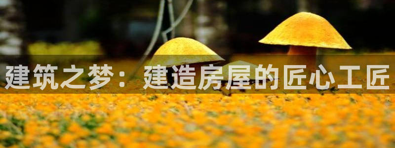 先锋娱乐理财logo：建筑之梦：建造房屋的匠心工匠