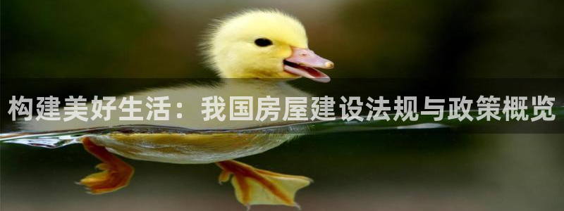 网上炸金花先锋娱乐：构建美好生活：我国房屋建设法规与政策概览