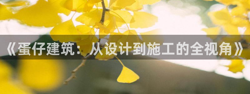 先锋娱乐邀请码多少位啊：《蛋仔建筑：从设计到施工的全视角》