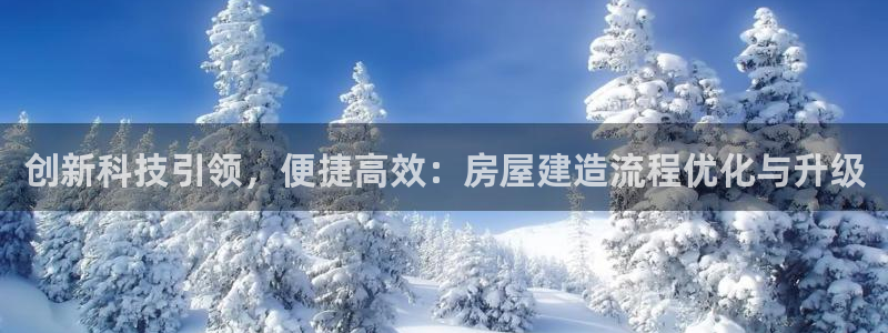 先锋澳门新娱乐：创新科技引领，便捷高效：房屋建造流程优化与升级