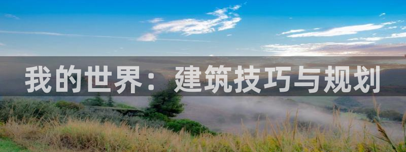 先锋方舟娱乐集团：我的世界：建筑技巧与规划