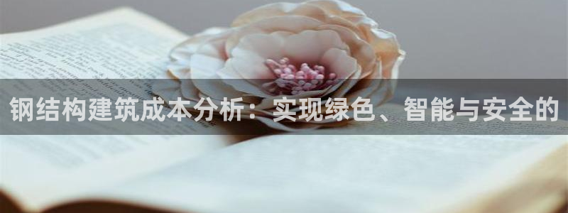 先锋娱乐场所：钢结构建筑成本分析：实现绿色、智能与安全的