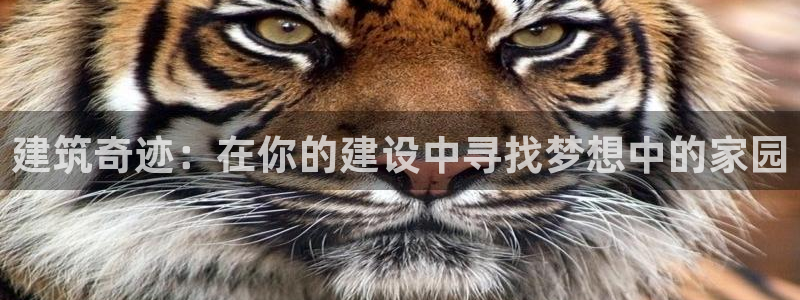 先锋娱乐扑克：建筑奇迹：在你的建设中寻找梦想中的家园