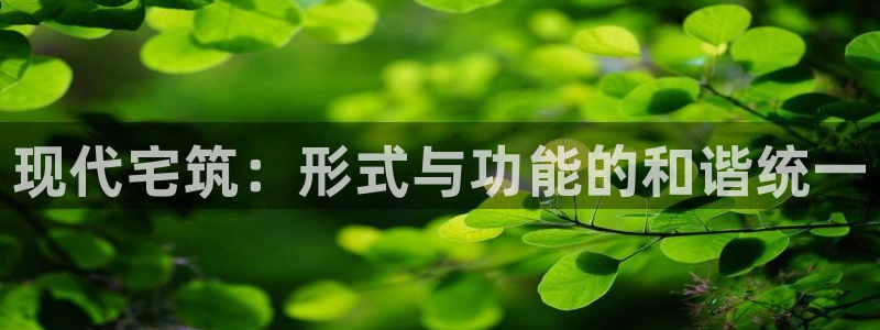 娱乐急先锋李诞甄子丹：现代宅筑：形式与功能的和谐统一