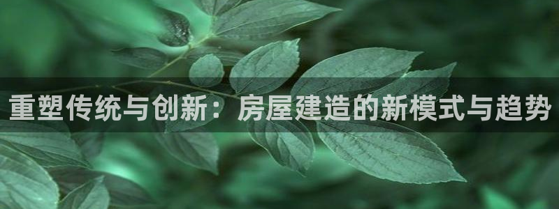 先锋娱乐官：重塑传统与创新：房屋建造的新模式与趋势