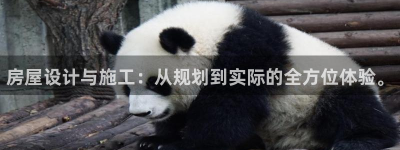 先锋娱乐管理集团招聘：房屋设计与施工：从规划到实际的全方位体验。