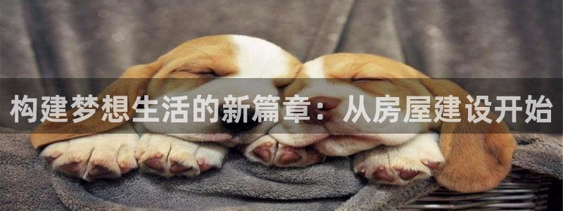 先锋娱乐邀请码多少位啊：构建梦想生活的新篇章：从房屋建设开始
