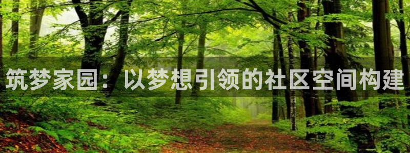 先锋娱乐邀请码多少：筑梦家园：以梦想引领的社区空间构建