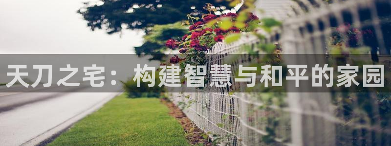 先锋娱乐登录：天刀之宅：构建智慧与和平的家园