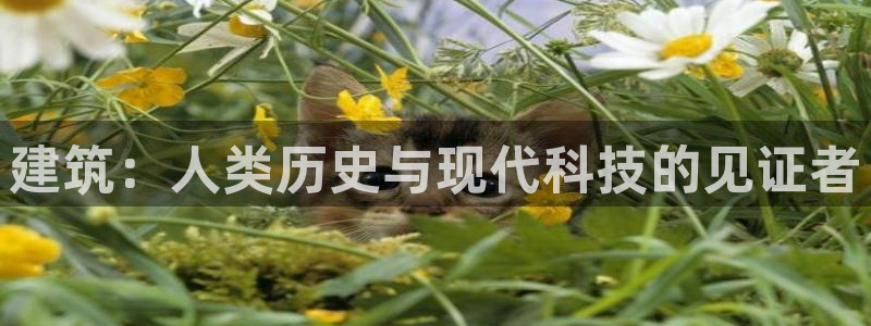 先锋娱乐客服中心：建筑：人类历史与现代科技的见证者