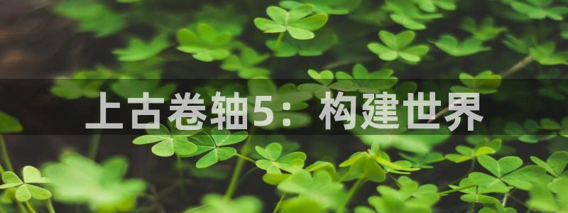 先锋银河娱乐：上古卷轴5：构建世界