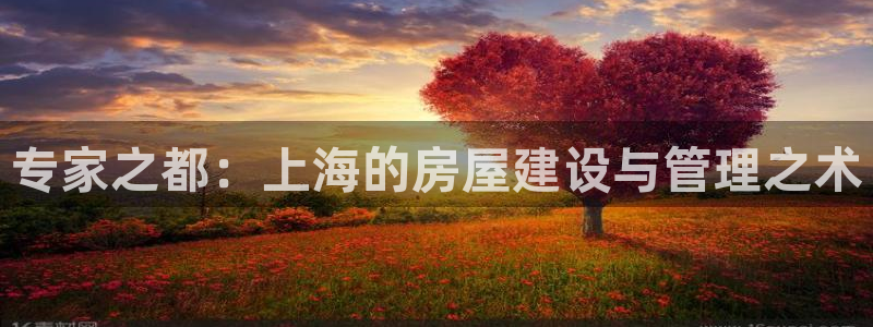 先锋娱乐系统：专家之都：上海的房屋建设与管理之术