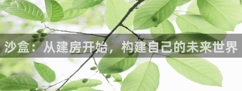 先锋娱乐管理集团招聘：沙盒：从建房开始，构建自己的未来世界