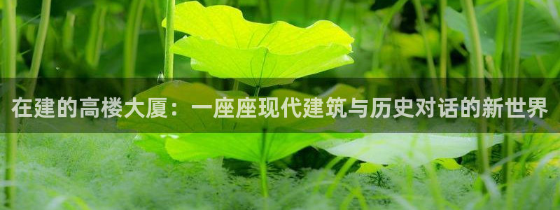 先锋娱乐资讯
