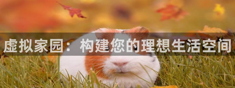 先锋 娱乐