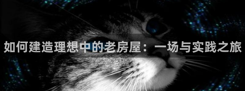 先锋娱乐侠：如何建造理想中的老房屋：一场与实践之旅
