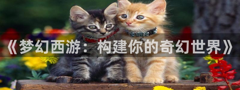 先锋娱乐体育管理集团：《梦幻西游：构建你的奇幻世界》