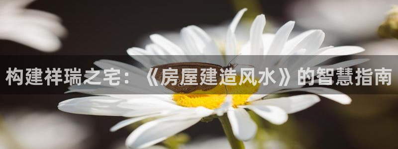 先锋支付娱乐城：构建祥瑞之宅：《房屋建造风水》的智慧指南