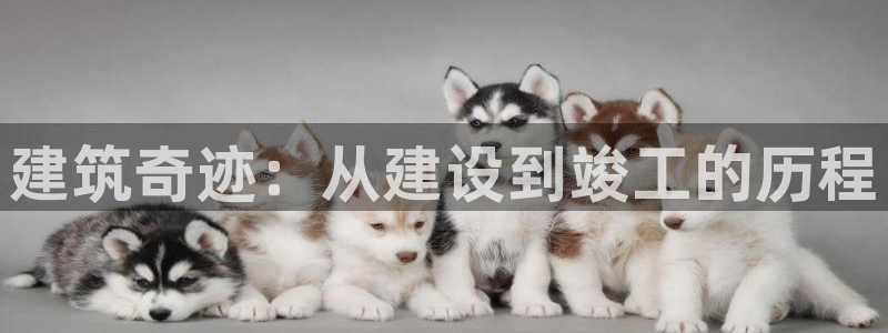 先锋娱乐中国：建筑奇迹：从建设到竣工的历程