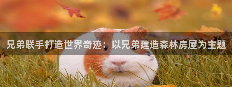 先锋娱乐体育管理集团：兄弟联手打造世界奇迹：以兄弟建造森林房屋为主题