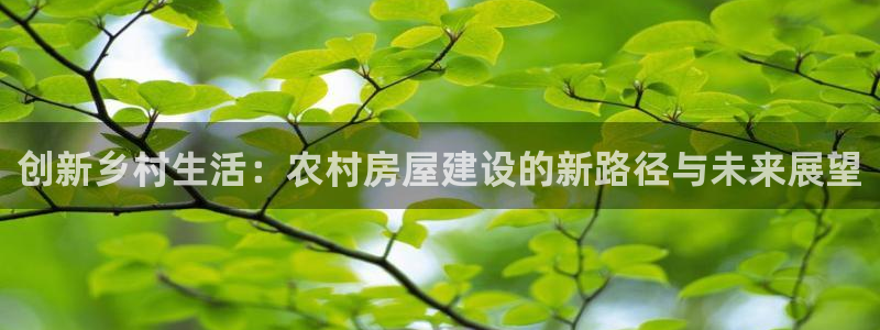 先锋娱乐币：创新乡村生活：农村房屋建设的新路径与未来展望