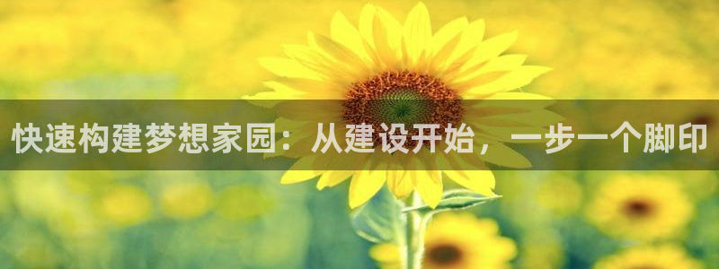 先锋娱乐理财logo：快速构建梦想家园：从建设开始，一步一个脚印