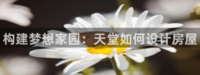 先锋娱乐转进去钱：构建梦想家园：天堂如何设计房屋