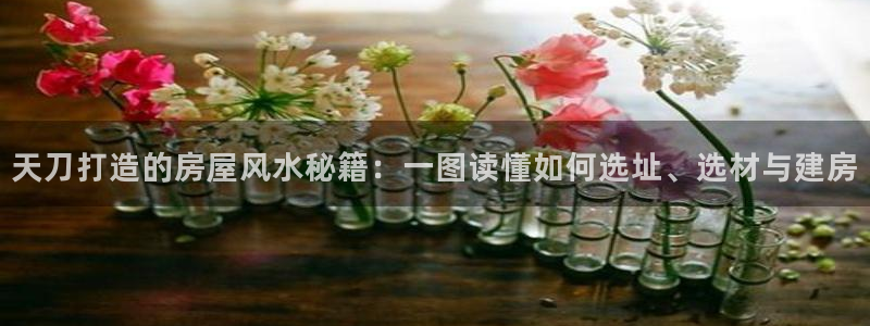 娱乐急先锋全集下载：天刀打造的房屋风水秘籍：一图读懂如何选址、选材与建房