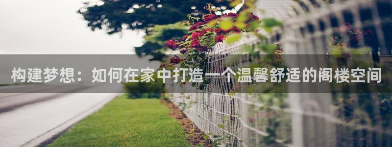 先锋娱乐大厅斗牛：构建梦想：如何在家中打造一个温馨舒适的阁楼空间