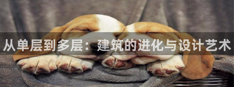 先锋娱乐侠：从单层到多层：建筑的进化与设计艺术