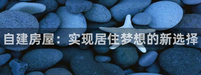 先锋娱乐简介图片