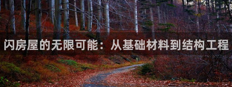 先锋电子旗下先锋娱乐：闪房屋的无限可能：从基础材料到结构工程