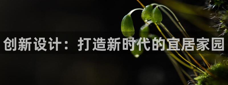 先锋娱乐公司正规吗吗：创新设计：打造新时代的宜居家园